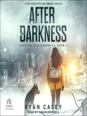 After the Darkness - Audiobook